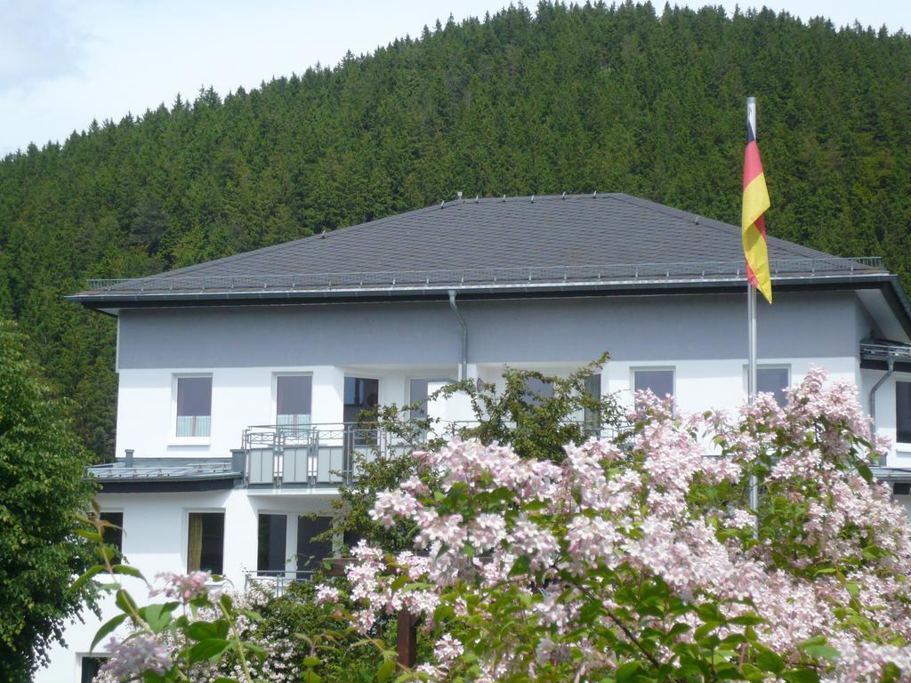 Fewo Penthaus-Blick Willingen  Kültér fotó