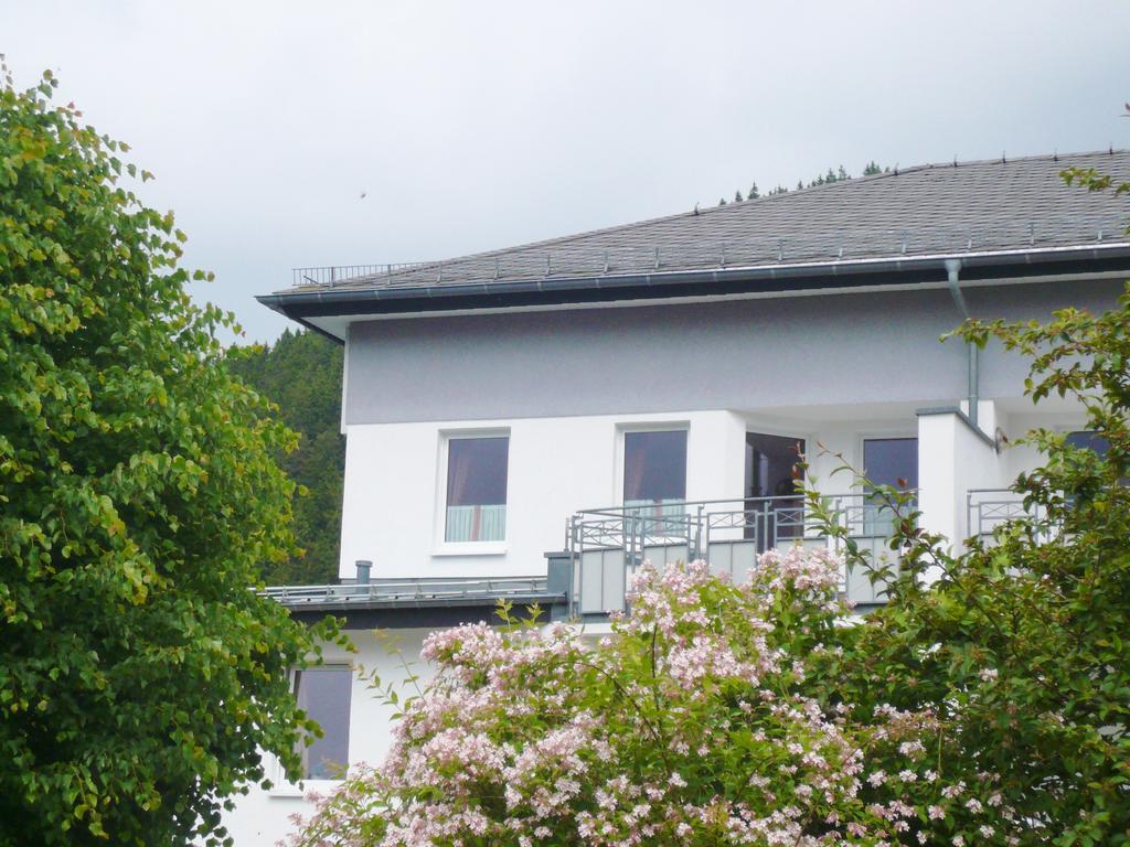 Fewo Penthaus-Blick Willingen  Kültér fotó